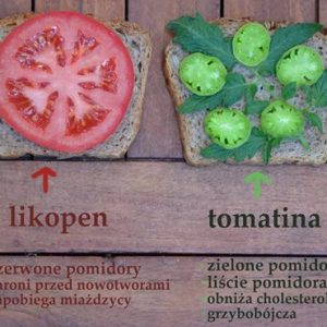 Liście Pomidora Zawierają Tomatinę - Ważne Dla Osób Z Wysokim Poziomem Cholesterolu: W Jej Obecności Cholesterol Nie Wchłania Się Z Przewodu Pokarmowego.