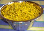 Forsycja (Forsythia) – kwiat