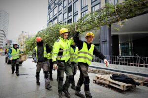 Czy posadzenie drzewa przed blokiem wymaga zgody? Kluczowe informacje dla mieszkańców