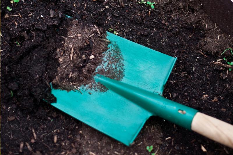 Jak nie przepłacić? Sprawdź, ile naprawdę kosztuje tona ziemi pod trawnik!