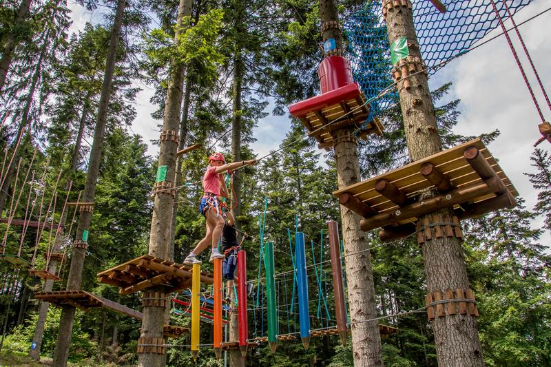 Stwórz niezapomnianą przygodę: Jak zrobić park linowy w ogrodzie krok po kroku