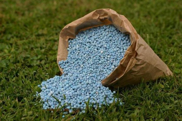 Porównanie nawozów chemicznych i organicznych