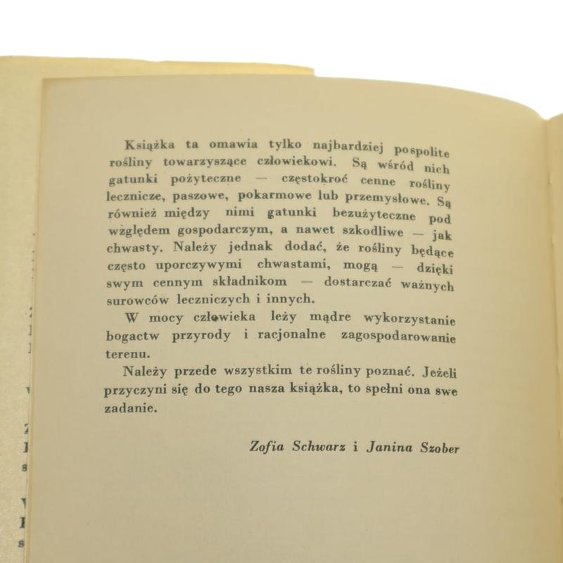 Przyciąganie zapylaczy w sadzie