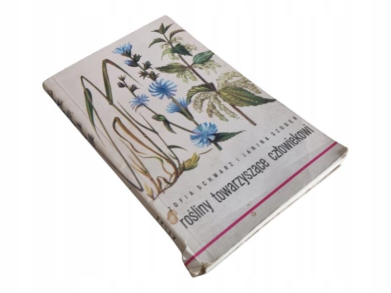 Rośliny towarzyszące jabłoni