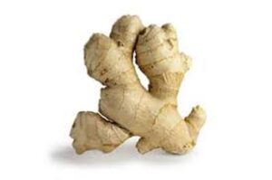 Imbir w doniczce – odkryj jego piękne cechy i sekrety pielęgnacji