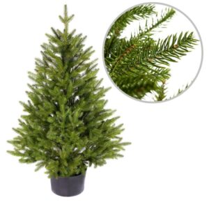 Jak zadbać o choinkę w doniczce, aby uniknąć jej uschnięcia? Sprawdź, jak często ją podlewać!