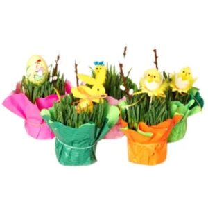 Odkryj tajniki: Jak zasiać owies w doniczce w prostych krokach