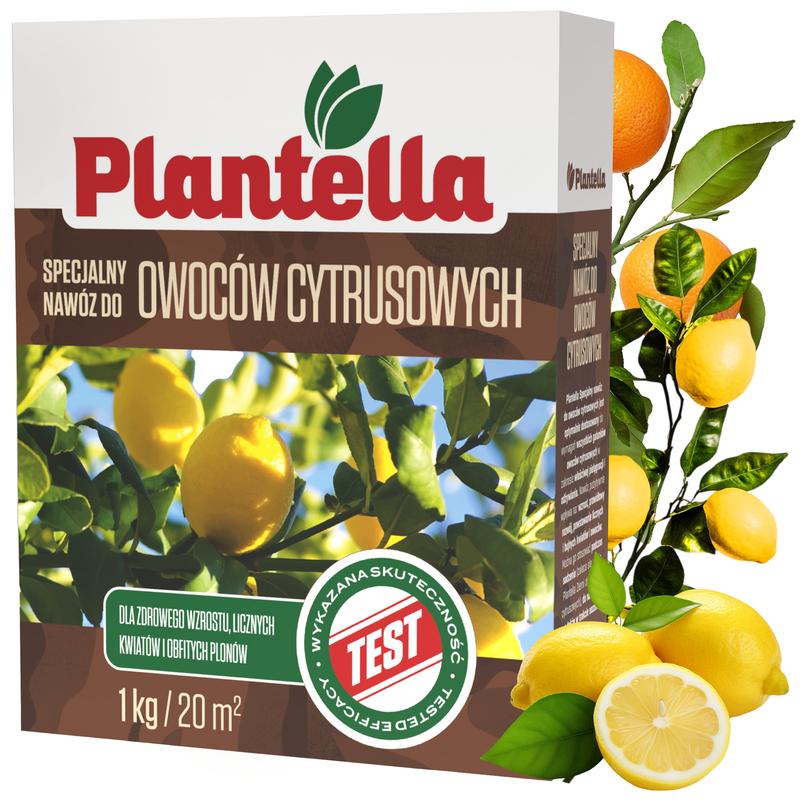 Domowy nawóz do cytrusów przepisy