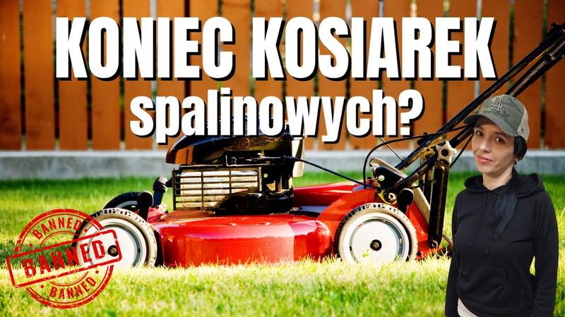 Kary za łamanie zakazu