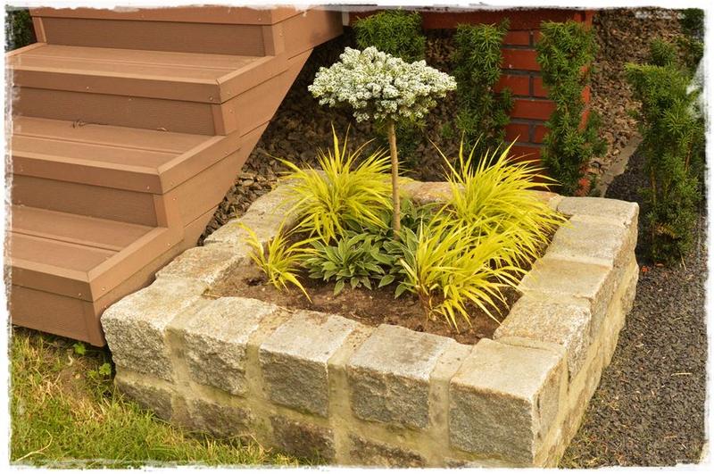 Pielęgnacja iglaków w donicach