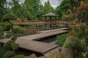 Ogród japoński: odkryj sekrety piękna i harmonii w przestrzeni