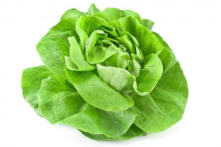 Sekrety udanego uprawiania sałaty: jak uniknąć gorzkiego smaku i cieszyć się świeżością jej liści