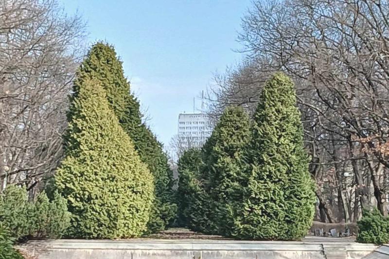 Najczęstsze błędy przy sadzeniu
