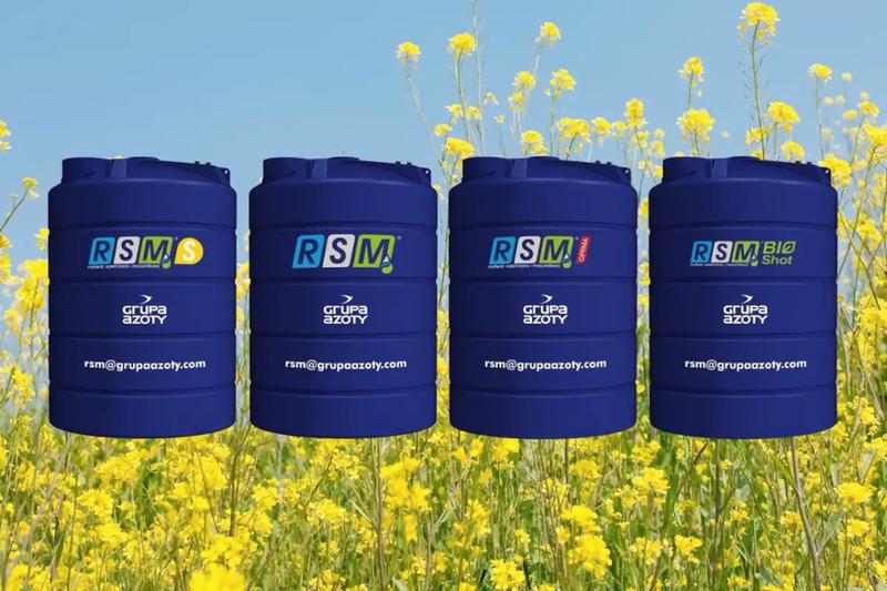 Nawożenie pszenżyta