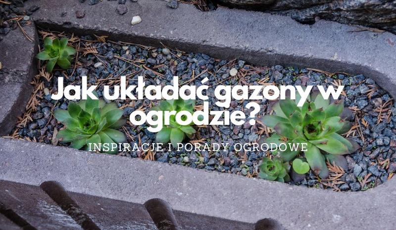 Pielęgnacja gazonów