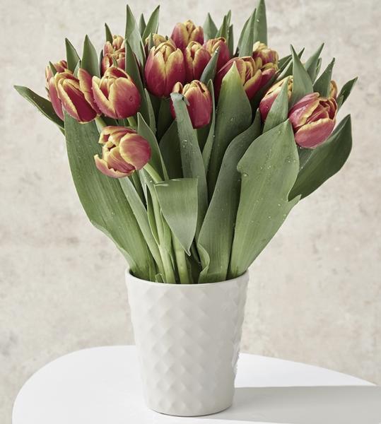 Pielęgnacja tulipanów