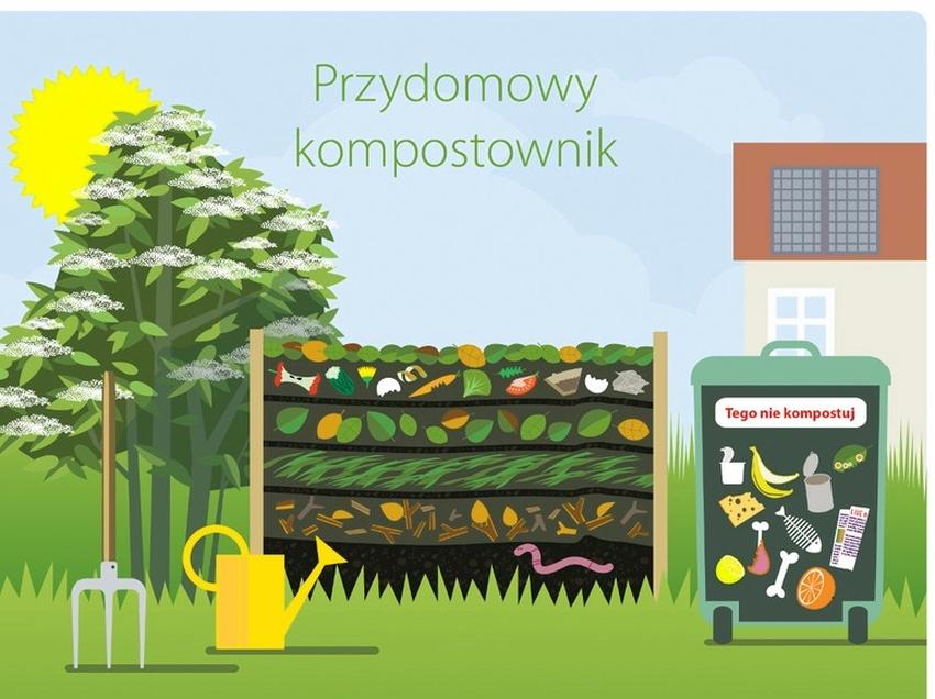 Ściółkowanie drzew i krzewów