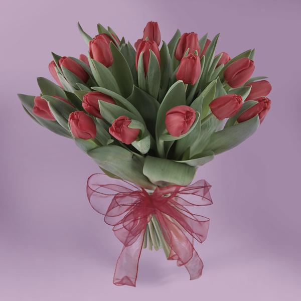 Tulipany w doniczkach