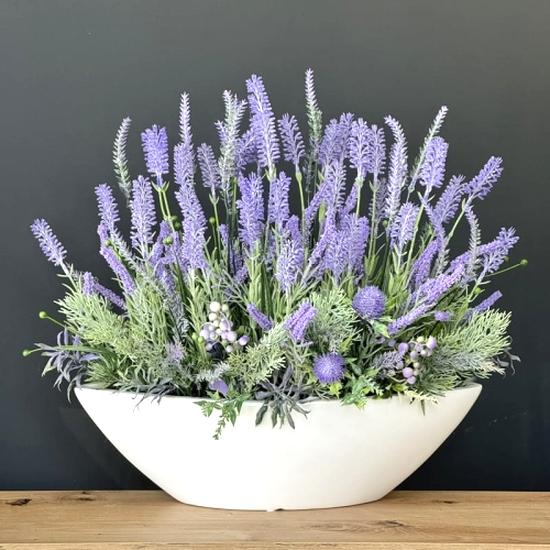 Warunki wzrostu lawendy