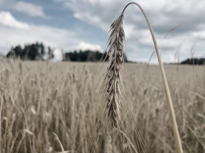 Wiosenny poradnik dla rolników