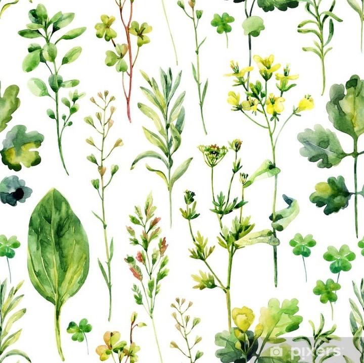 Zwalczanie chwastów polnych