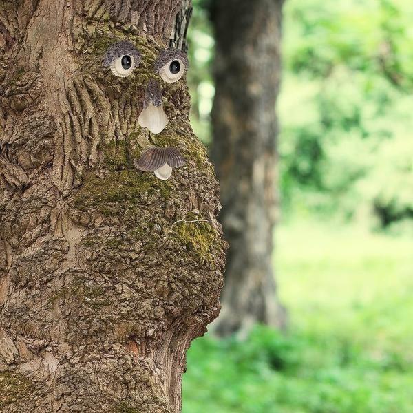 Ciekawe sposoby na to, jak ozdobić pień drzewa w ogrodzie: 7 kreatywnych pomysłów