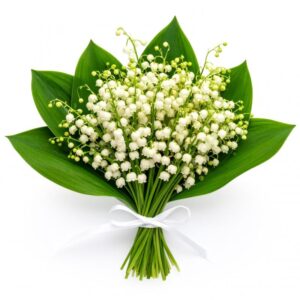 Jak skutecznie sadzić konwalie w ogrodzie? Sprawdź nasze praktyczne porady!