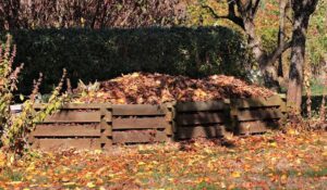 Optymalne pH kompostu – Klucz do zdrowych roślin i bujnego ogrodu