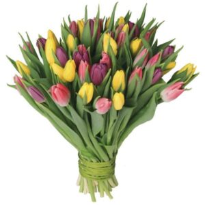 Tulipany w doniczce – odkryj najważniejsze wskazówki, które musisz znać!
