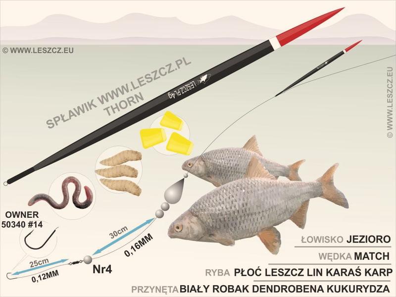 Leszcz z gruntu
