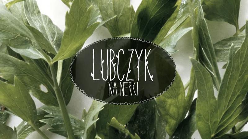 Lubczyk w doniczce