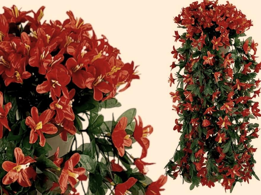 Nawóz pod pelargonie