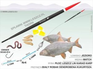 Na co bierze leszcz z gruntu? Odkryj skuteczne przynęty na każdą porę roku!