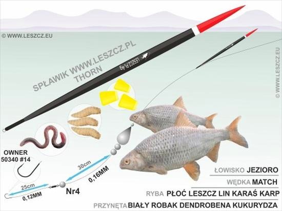 Na co bierze leszcz z gruntu? Odkryj skuteczne przynęty na każdą porę roku!