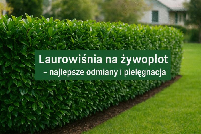 Cykl wegetacyjny roślin