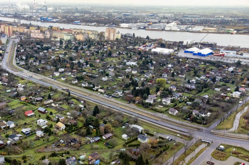 Pielęgnacja kaczeńców