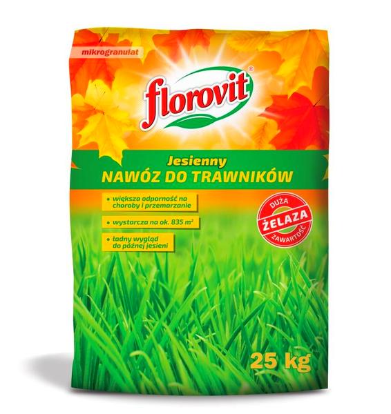 Pielęgnacja trawnika jesienią
