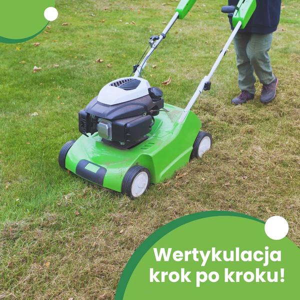 Szybka regeneracja trawnika