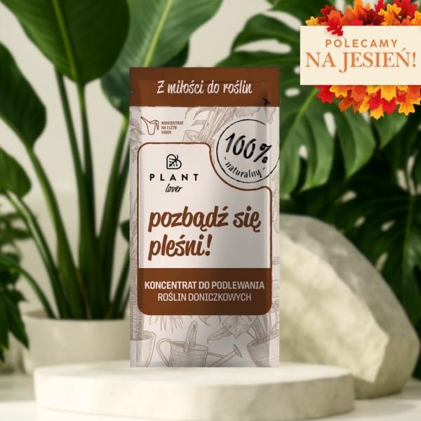 Zapobieganie nawrotom pleśni