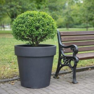 Pomysły na dużą donicę: co wsadzić, aby stworzyć piękną dekorację