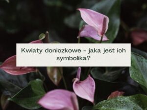 Znaczenie kwiatów: symbolika, emocje i jak je odczytać