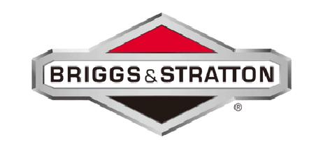 Briggs & Stratton