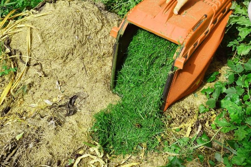 Skoszona trawa na kompost – korzyści i zasady bezpiecznego użycia