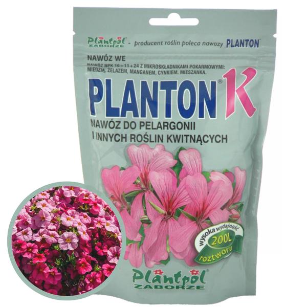 Pielęgnacja pelargonii