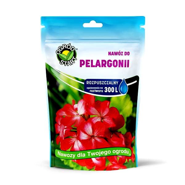 Czym nawozić pelargonie, by bujnie kwitły i nie marniały?