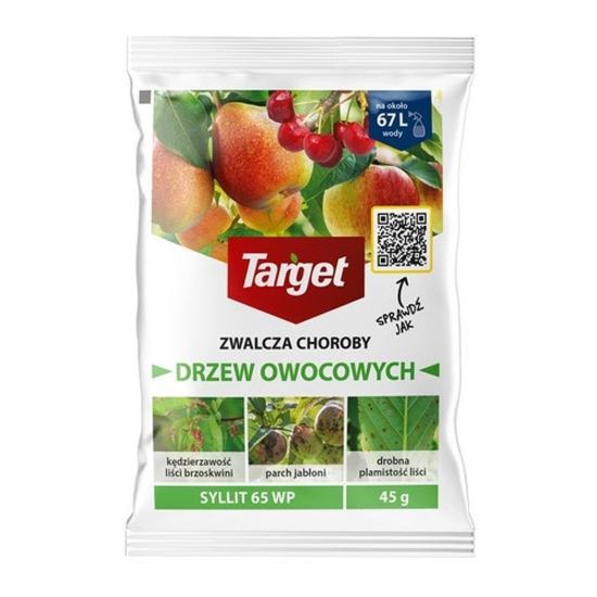 Kiedy opryskiwać brzoskwinie? 5 terminów skutecznej ochrony