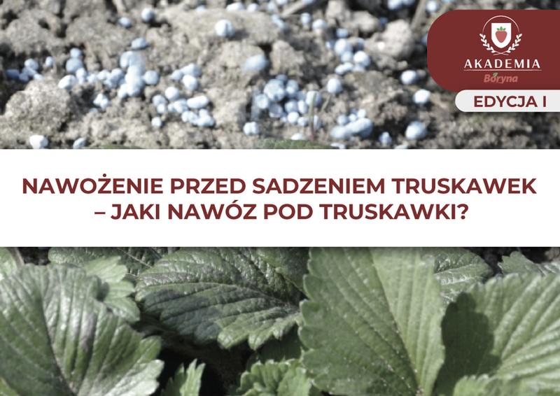 Nawozy organiczne i mineralne